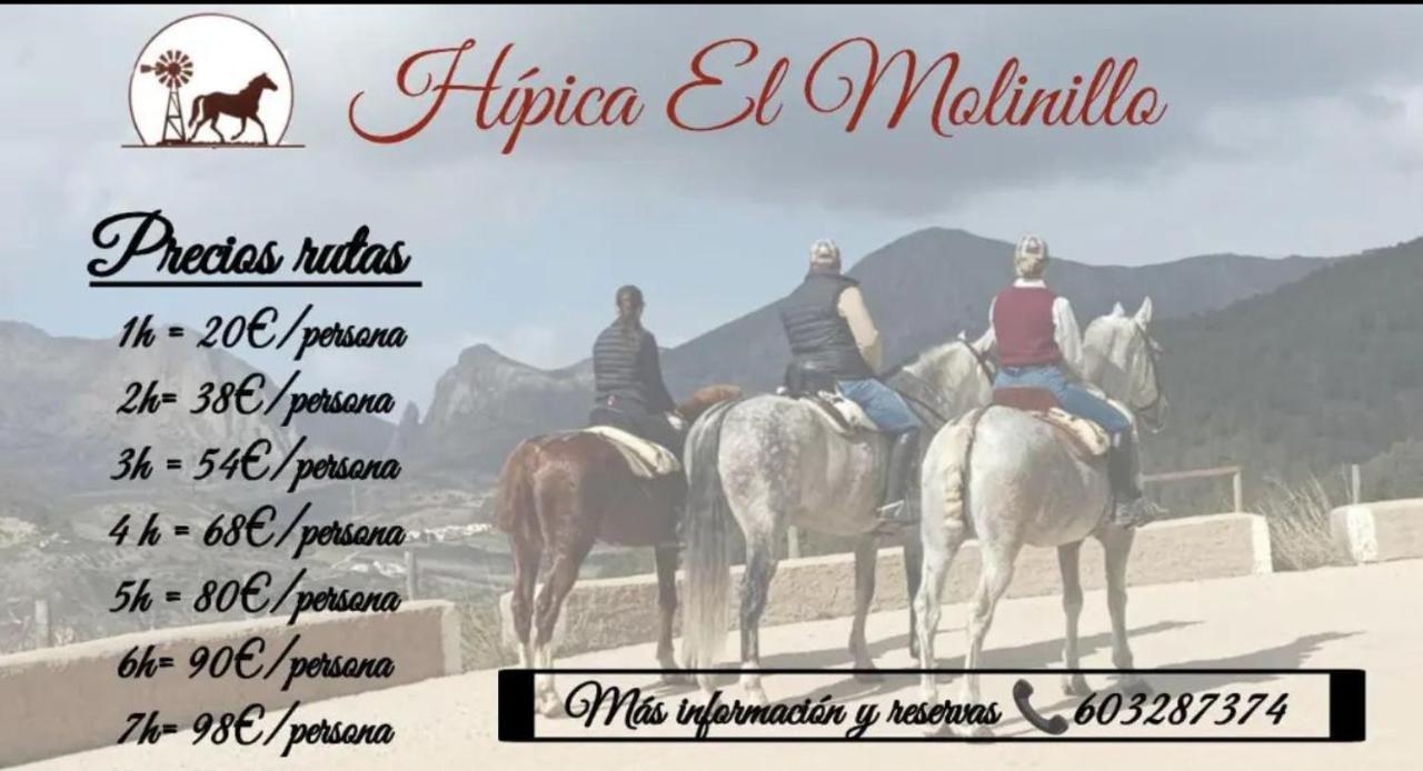 Naranjos * Alcaucín